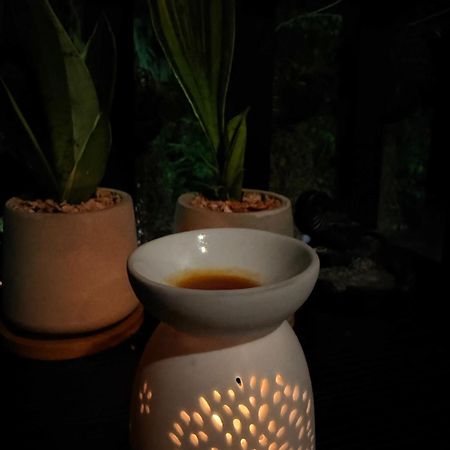 Mild Room Sea View Room For Rent Phi Phi Islands Esterno foto